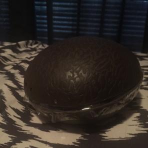 Homemade Coconut Shell Display Case