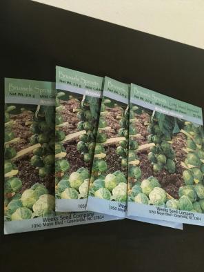 Brussel Sprout Seeds 4 Packages