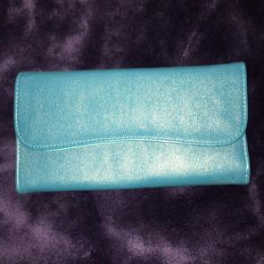 Make Up Brush Clutch
