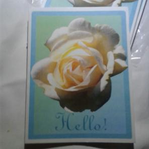 WWB-137/Note Cards/Hello