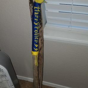 Harry Potter (walking stick)