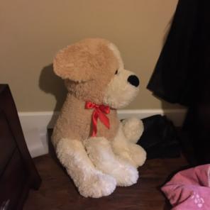 STUFFED DOGGY