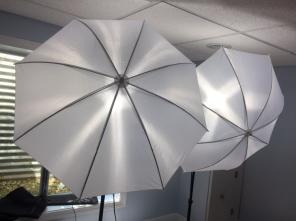 Photo Lights, Two Backdrops, And Stand
