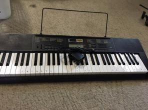 Casio Piano Keyboard