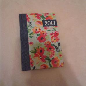 Planner 2017