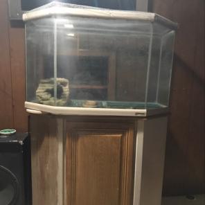 Fish Tank