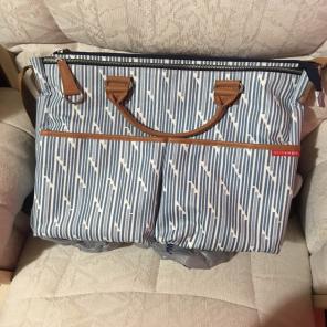 Skip Hop Duo Special Edition Diaper Bag