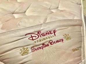 Disney princess Mattress and Box Spring