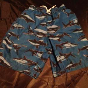 Boys OP Shark Swim Trunks