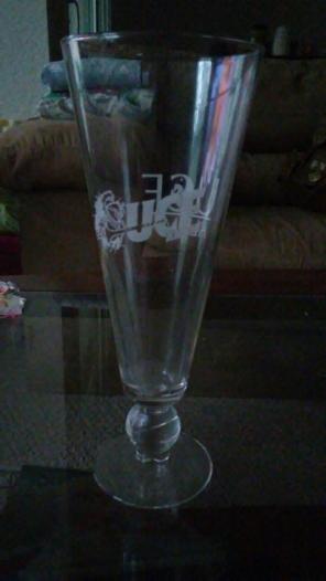 GENTLY USED Set of UCF Knights Glasses