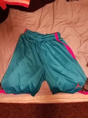 Blue and pink air jordan shorts