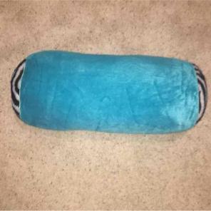 blue and zebra print pillow