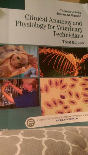 Clinical Anatomy and Physiology