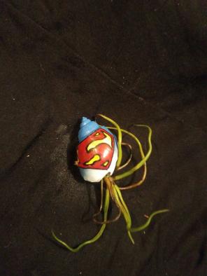 For the SUPERMAN collector