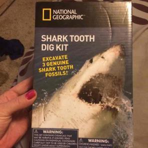 National Geographic Shark Tooth Dig Kit