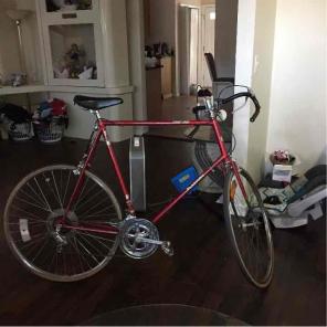Panasonic Bike