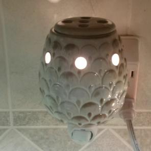 NIB Accent Artich Warmer & Scents FS