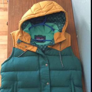 Patagonia Puffer Vest
