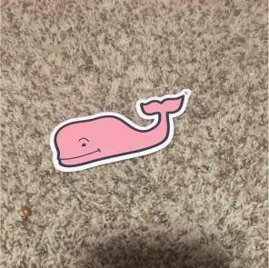 Vineyard Vines sticker