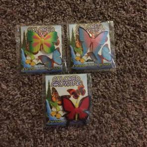 Magic Grow Butterflies