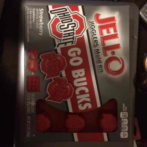 Ohio state jello mold kit