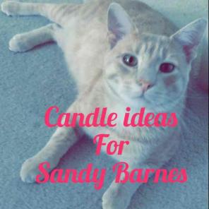 NOT FOR SALE Candle ideas for Sandy B