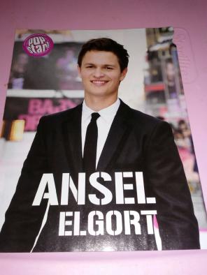 ANSEL ELGORT 8x10 Pin-Up!
