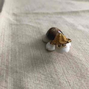 Super Cute Seashell Turtle