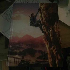 Zelda botw collectors guide