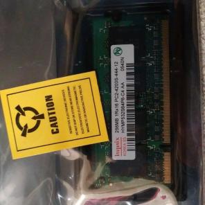 256MB PC2-4200 RAM