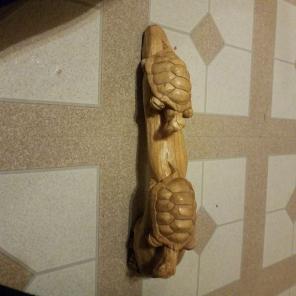 2 turtles on a log