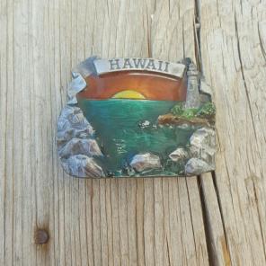 Collectible Vintage Hawaii Belt Buckle