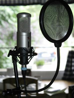 Studio condenser microphone