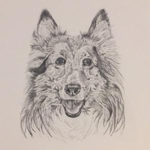 Custom Pet Portrait