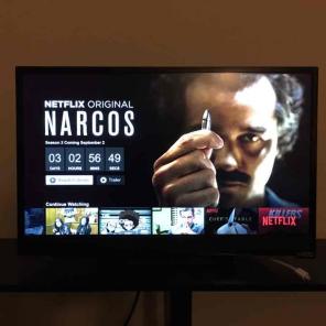 24" smart TV vizio
