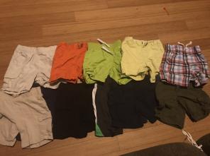 11 pairs of shorts