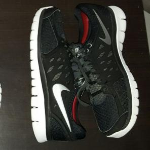 Men's Nike Flex Run