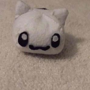 Cute Cat