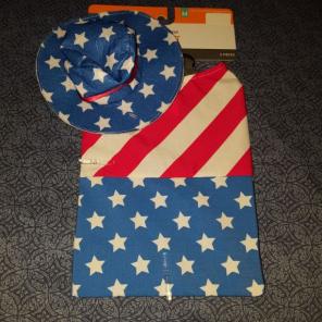 Dog Costume 4th of July