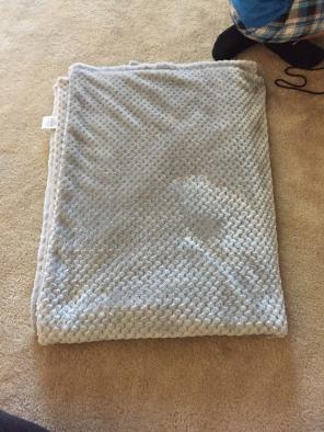 NWOT Fuzzy Grey Throw Blanket