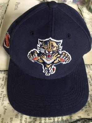 NHL Florida Panthers Hat