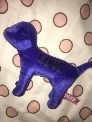Velour Purple Pink Victoria's Secret Dog