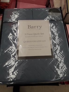 3 pcs queen Quilt set