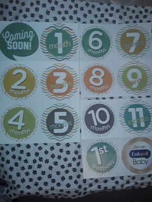 ♡ Enfamil Baby Milestone Stickers! ♡