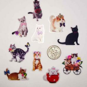 Adorable kitty agenda planner stickers