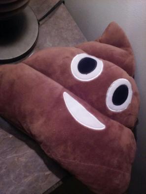 Poop emoji pillow
