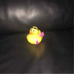 Surfer duck