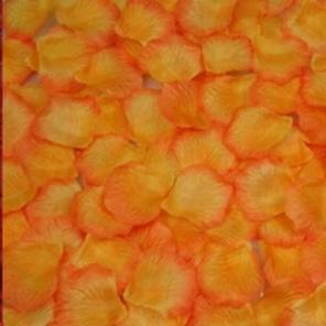 Rose Petals
