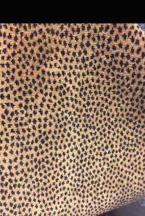 Leopard accessories
