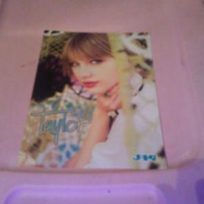 TAYLOR SWIFT/LOUIS TOMLINSON 8x10 Pin-Up